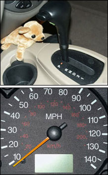 Interior photos of Focus