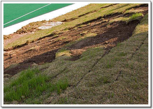 [Grassy berm]