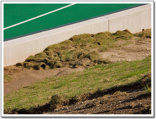 [Grassy berm]