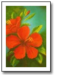 [Hibiscus Painting by Mom]
