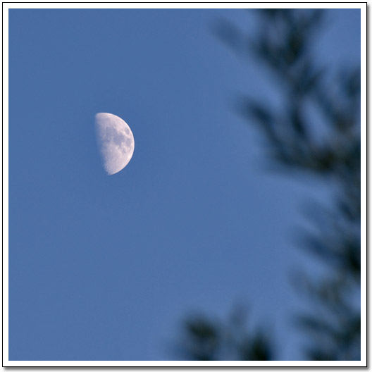[Evening moon]