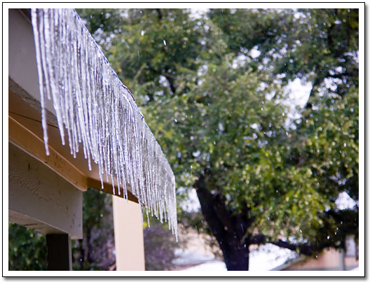 [Icicles and snow flakes]