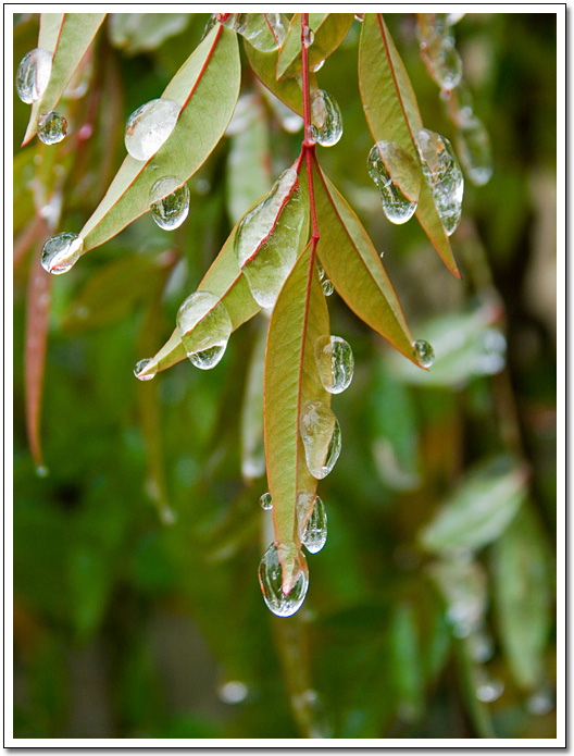 [Ice drops]