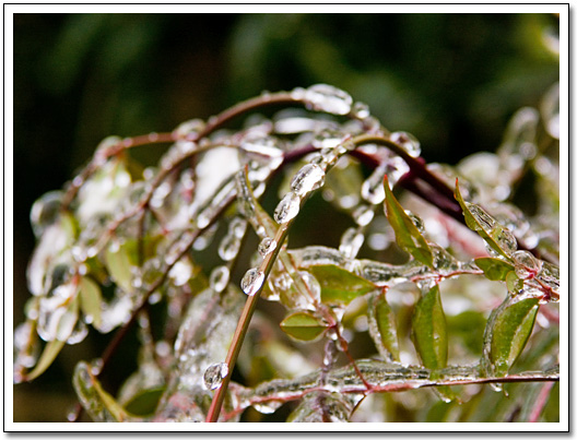 [Ice drops]