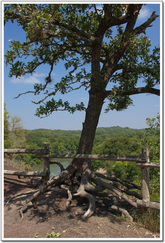 [Bluff Trail Overlook]