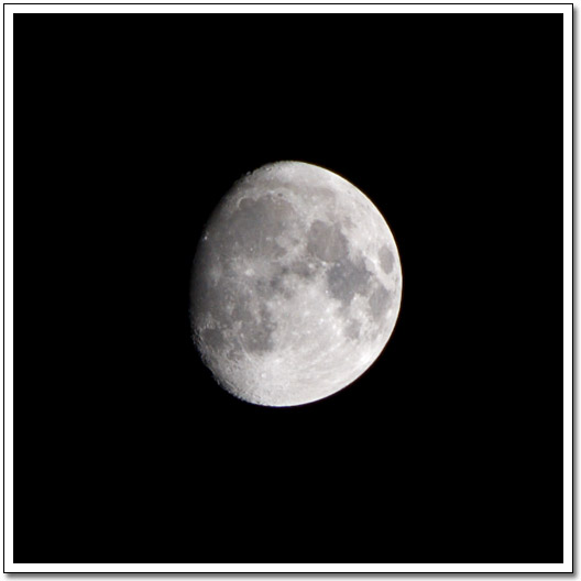 [Night moon]