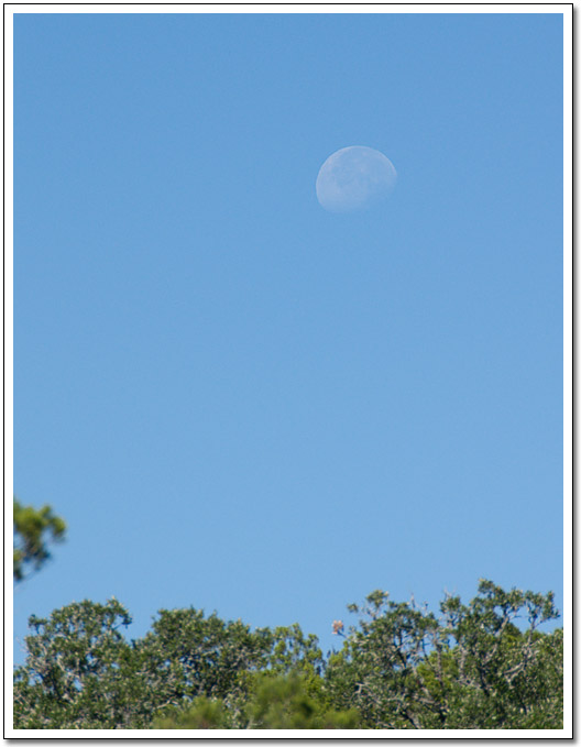 [Moon over Pedernales Falls]