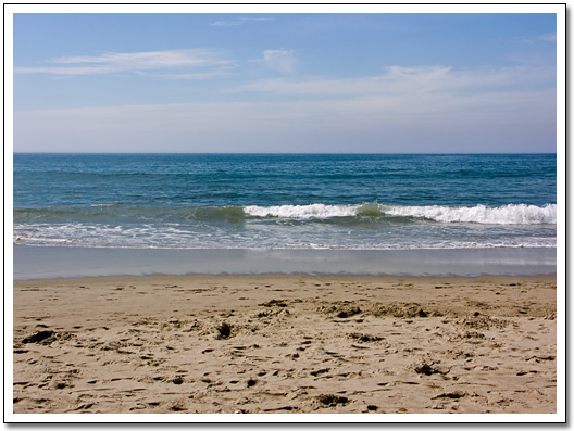 [Venice Beach]