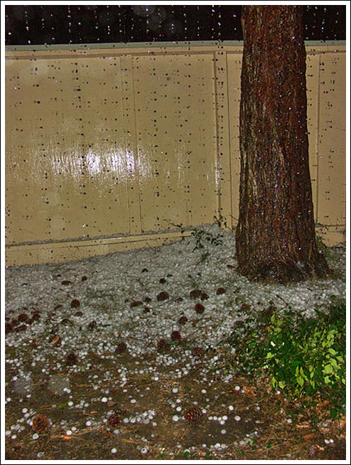 [photo of hail debris]