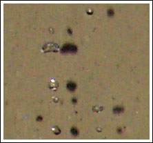 [photo of water shadow]